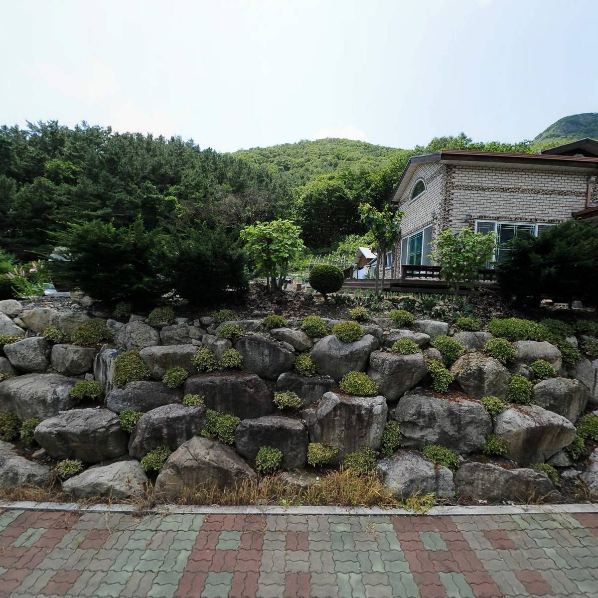 취국시