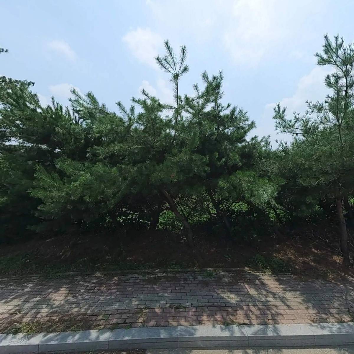 (주)누리팜