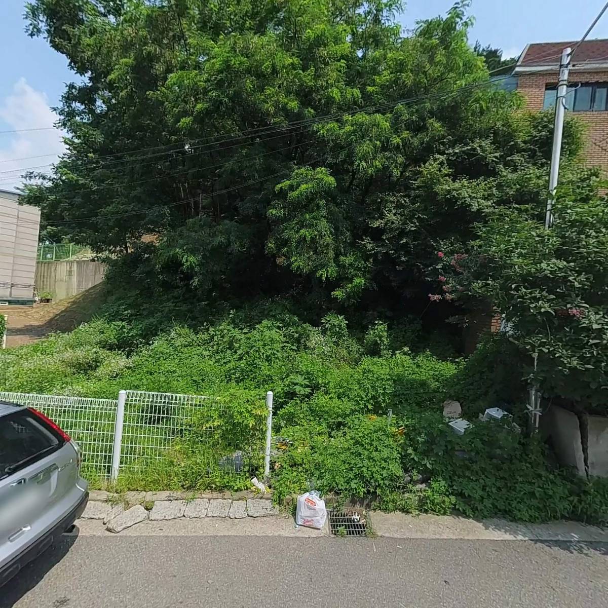 댄스위드비 주식회사_3