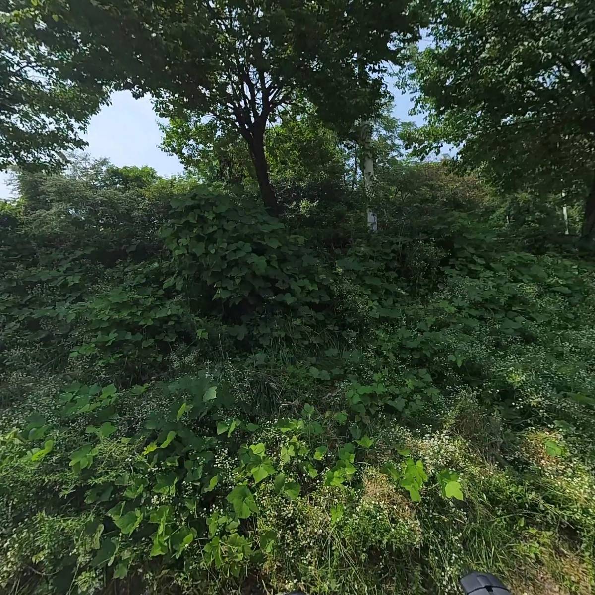 산아래염소이야기_3