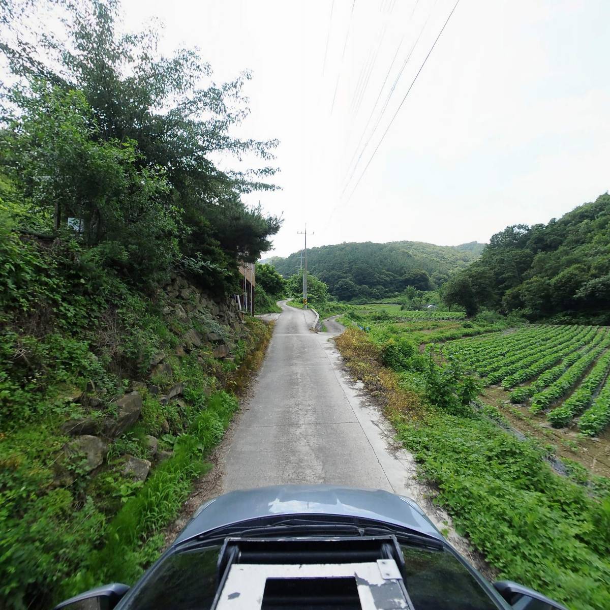 파랑새그룹홈_4