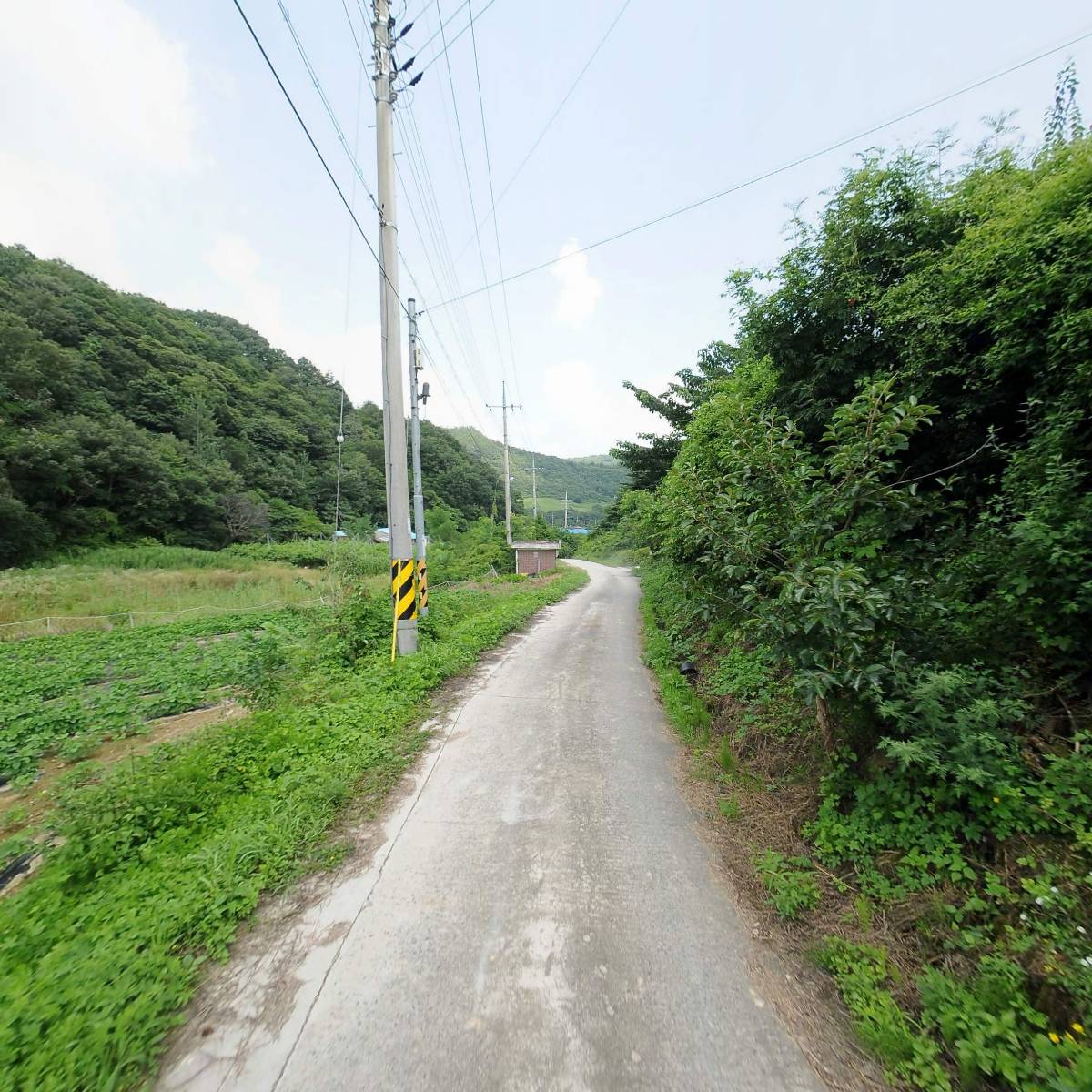 파랑새그룹홈_2