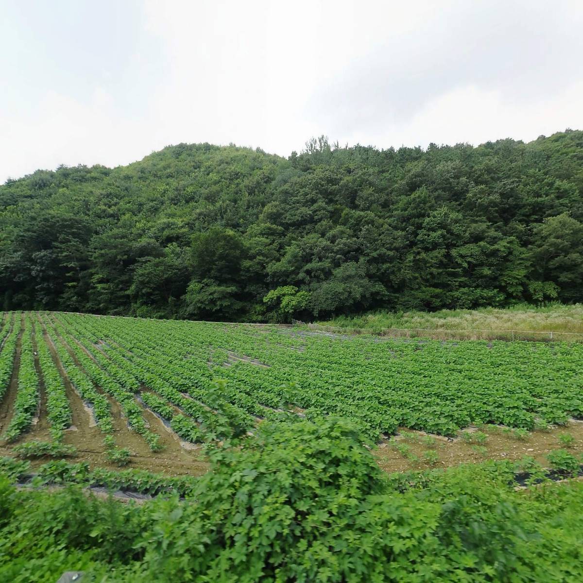 파랑새그룹홈