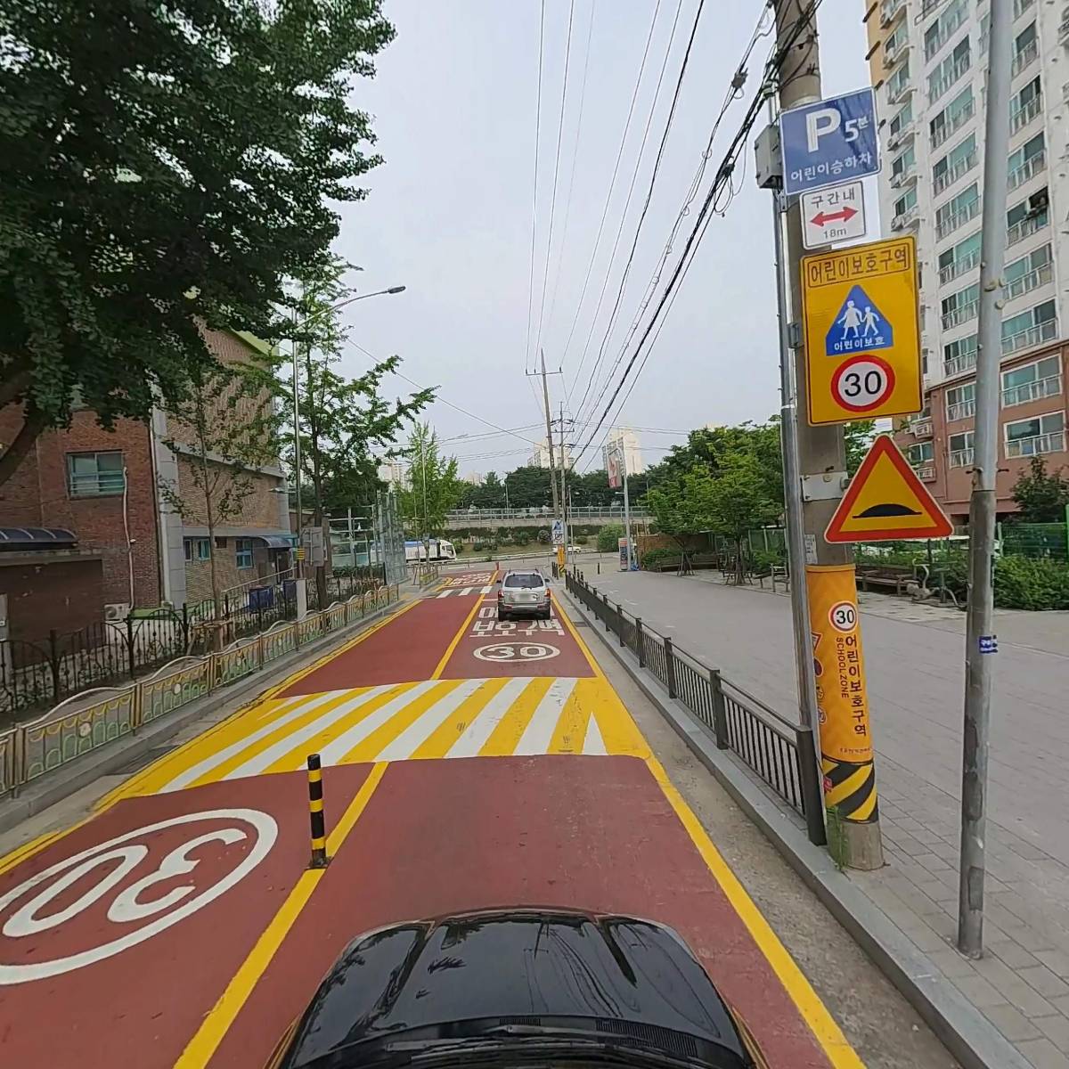 카젠_4