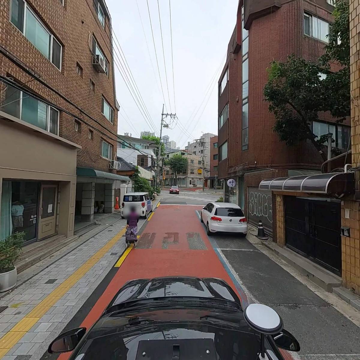 호펫 강아지 고양이 성신여대본점_4