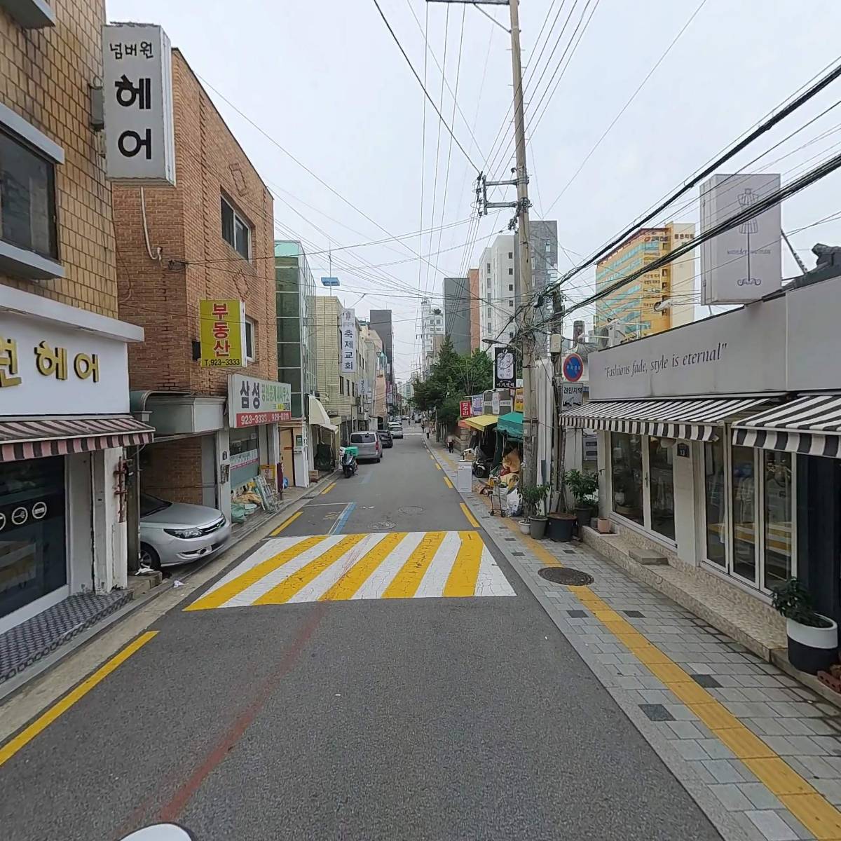 호펫 강아지 고양이 성신여대본점_2