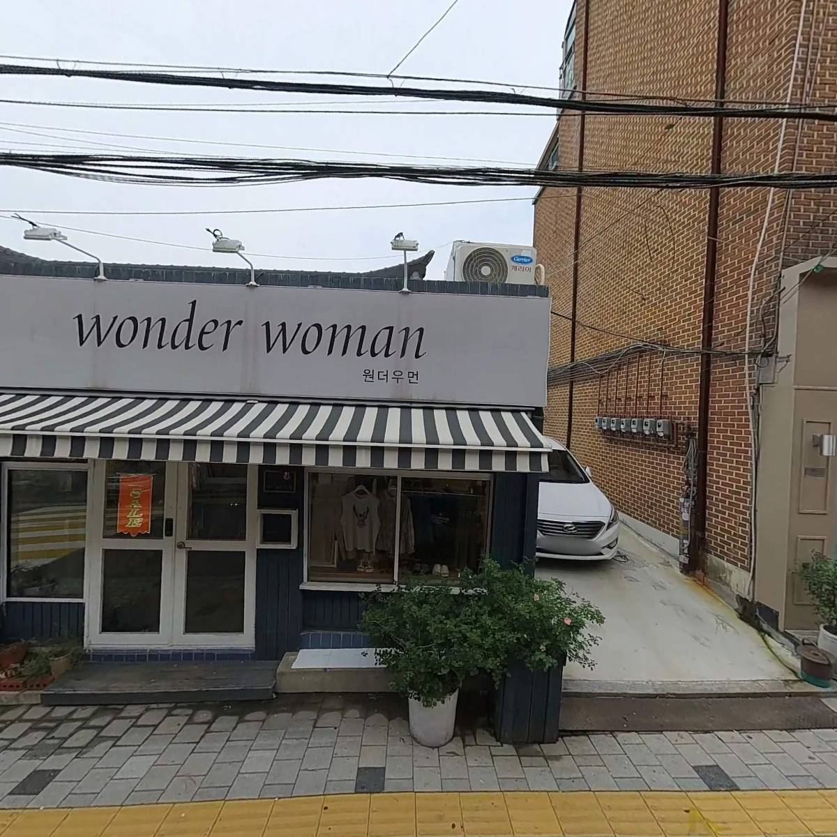 호펫 강아지 고양이 성신여대본점_3