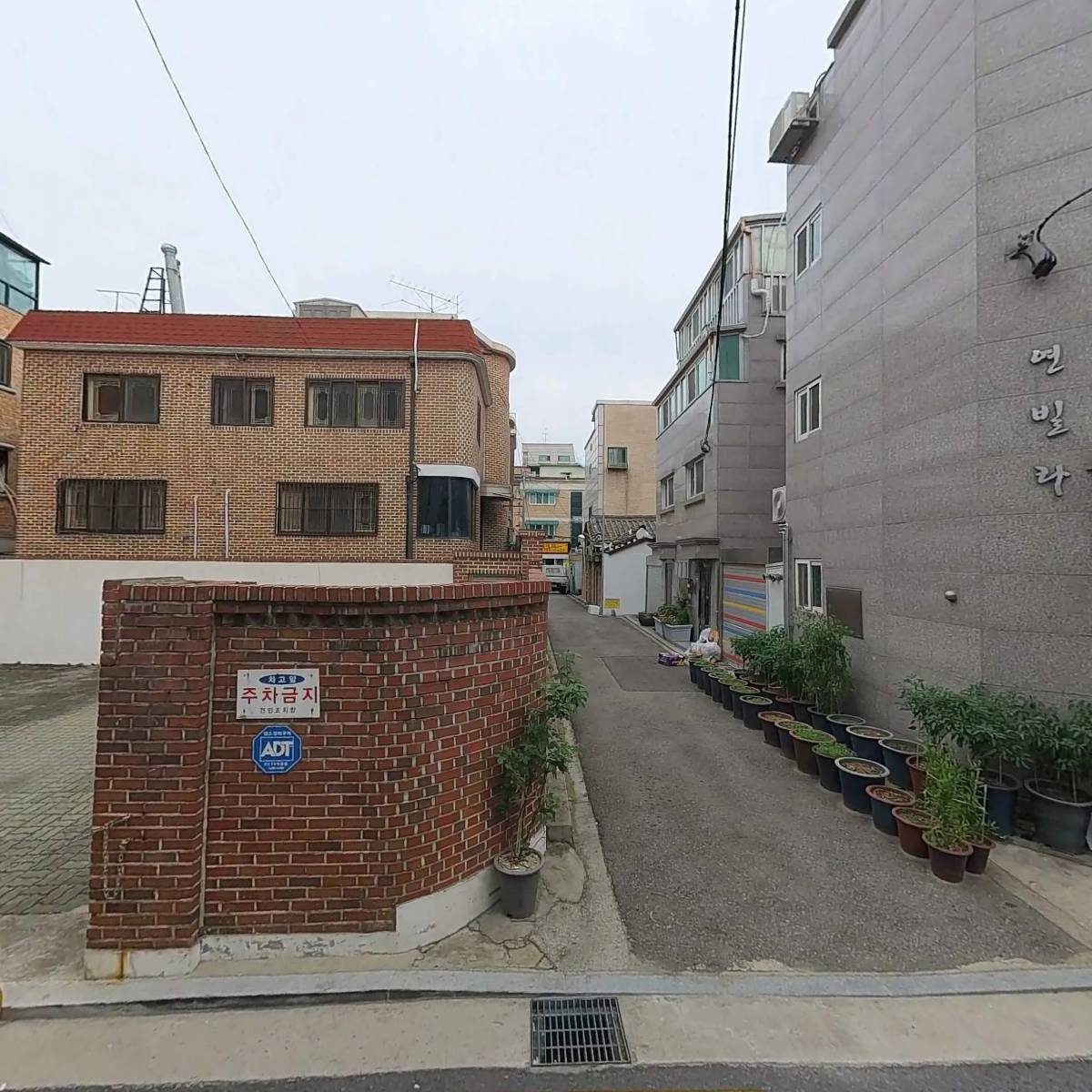 다노신