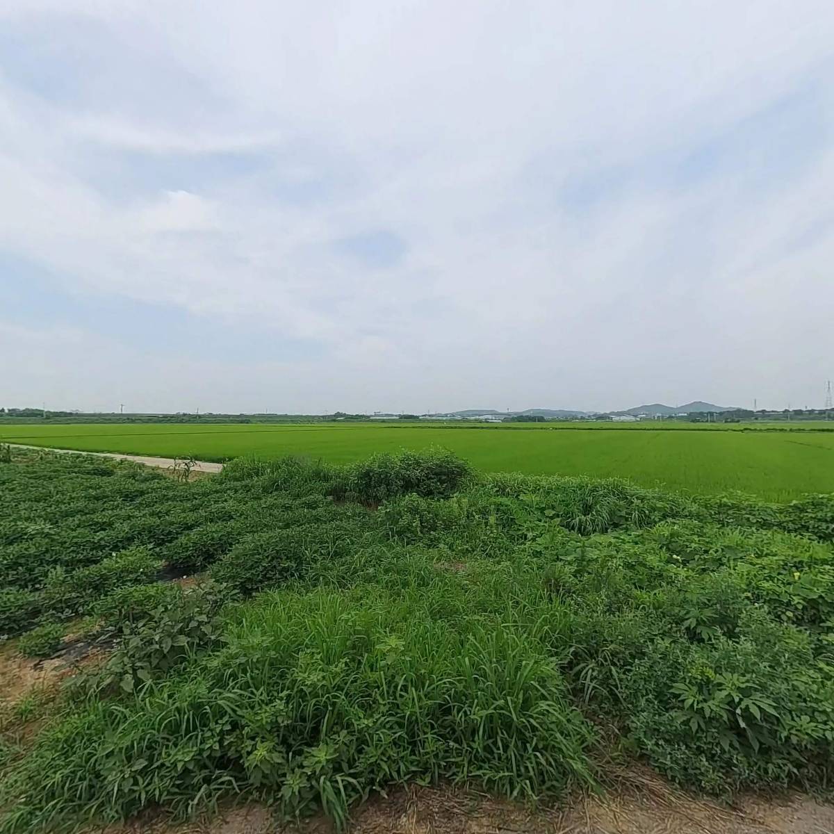 (주)더블유디건설