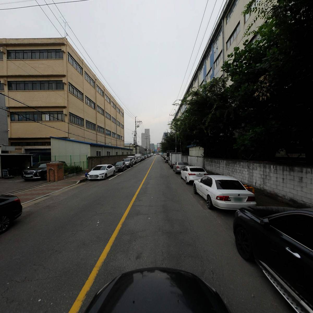 아라야스타킹_4