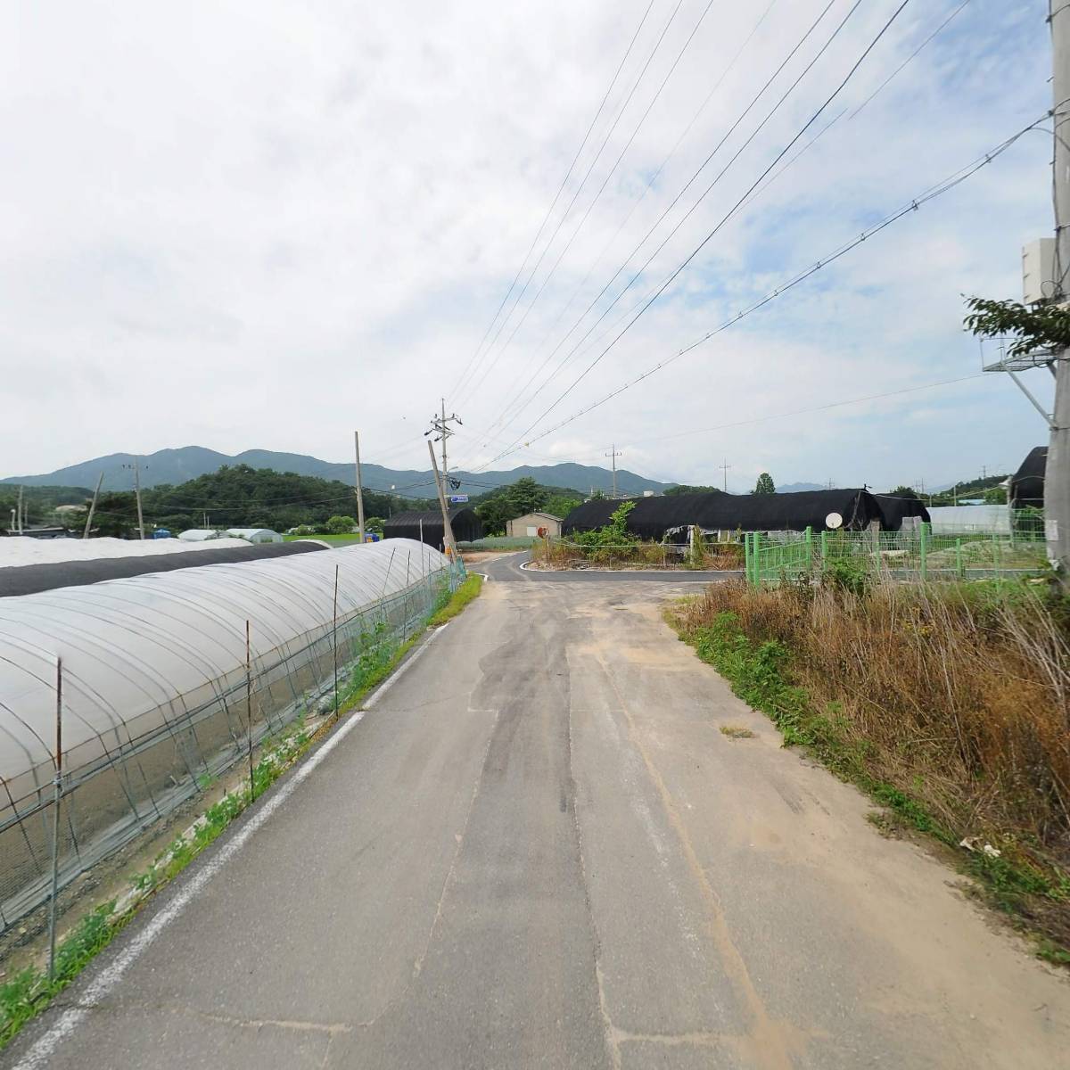 농업회사법인(주)포천싱싱팜_2
