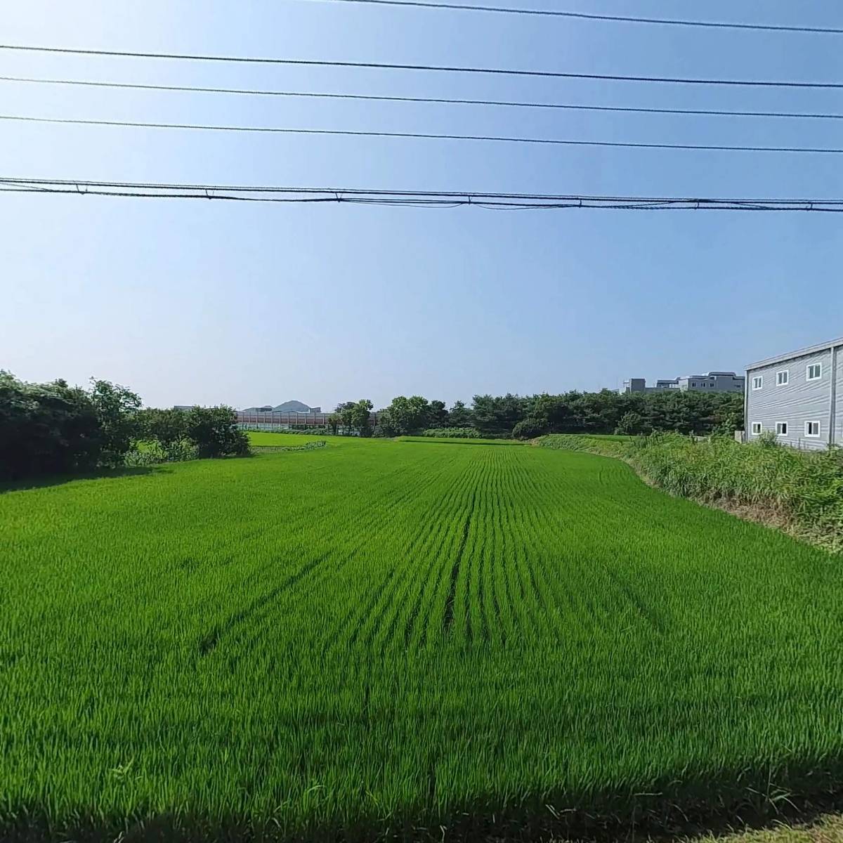 청북도깨비시장주식회사