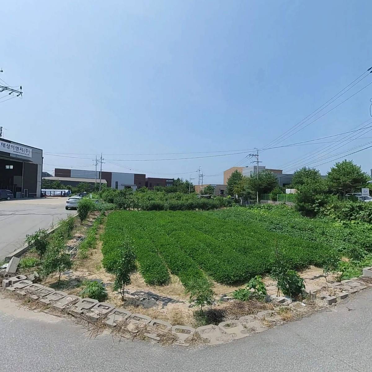 케미프론