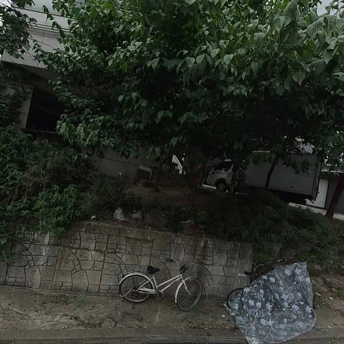 보아스퍼니처
