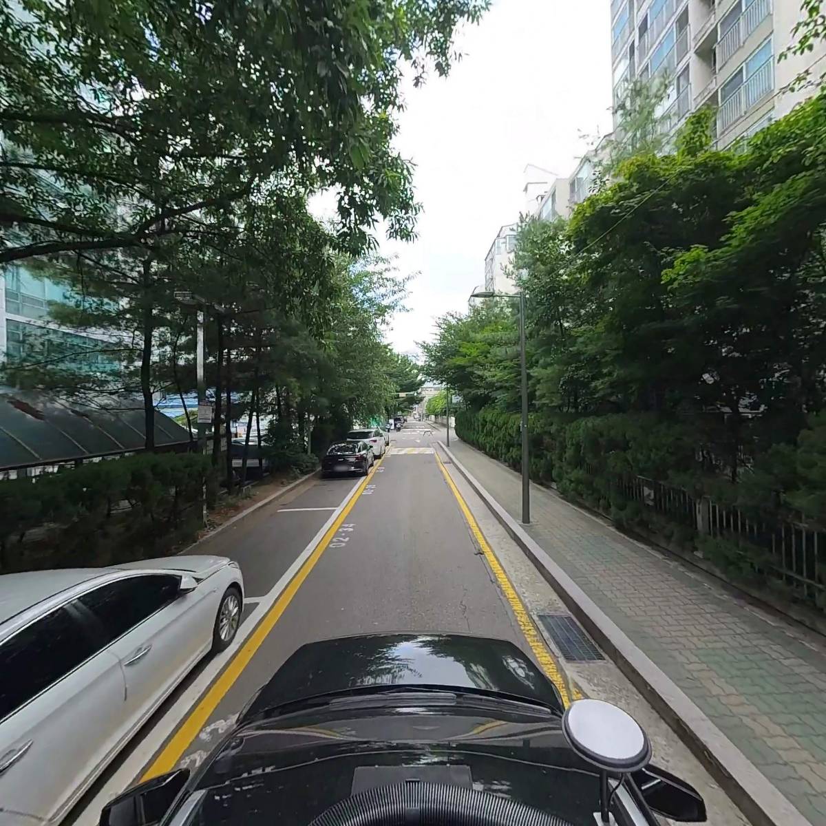 안드레 52_4