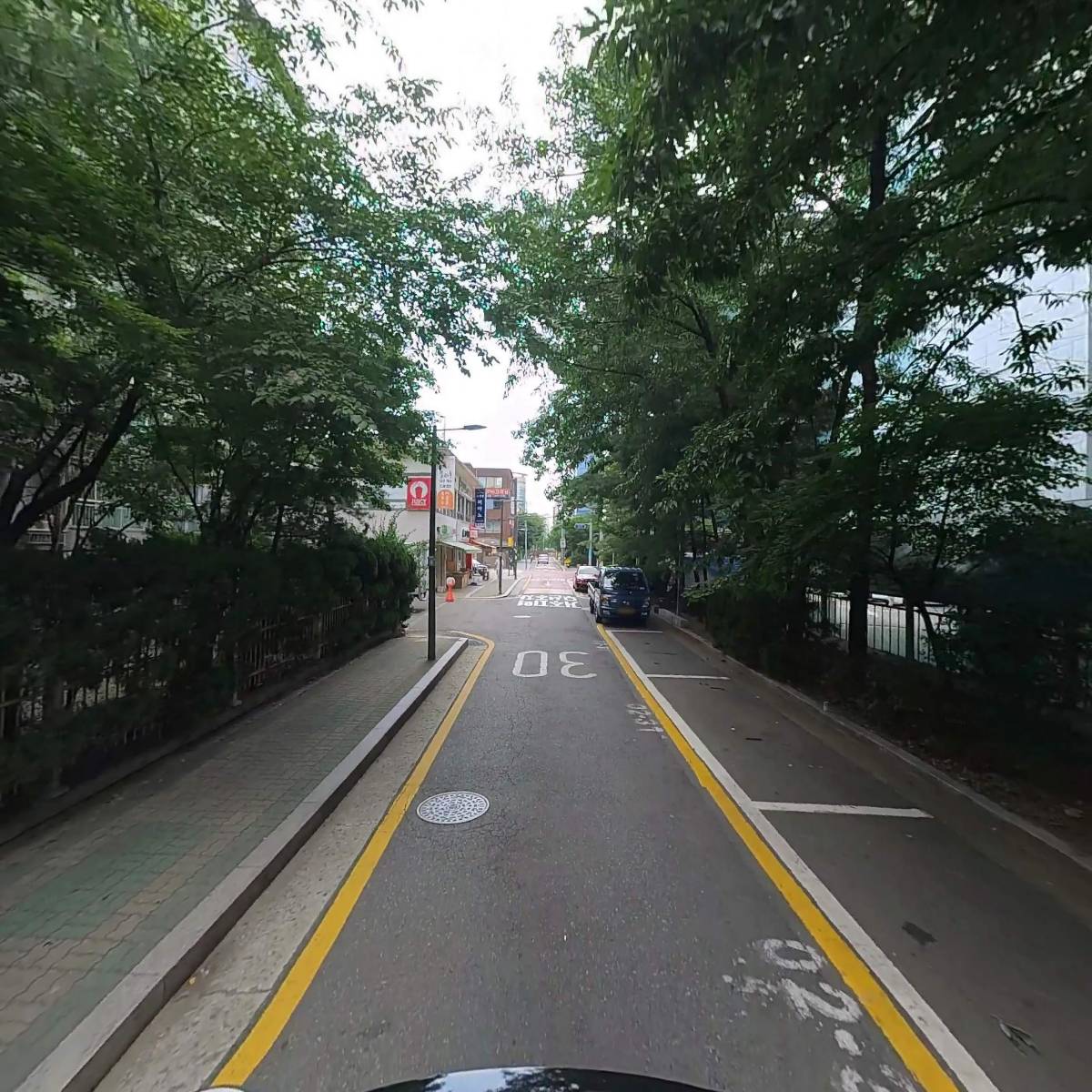 안드레 52_2