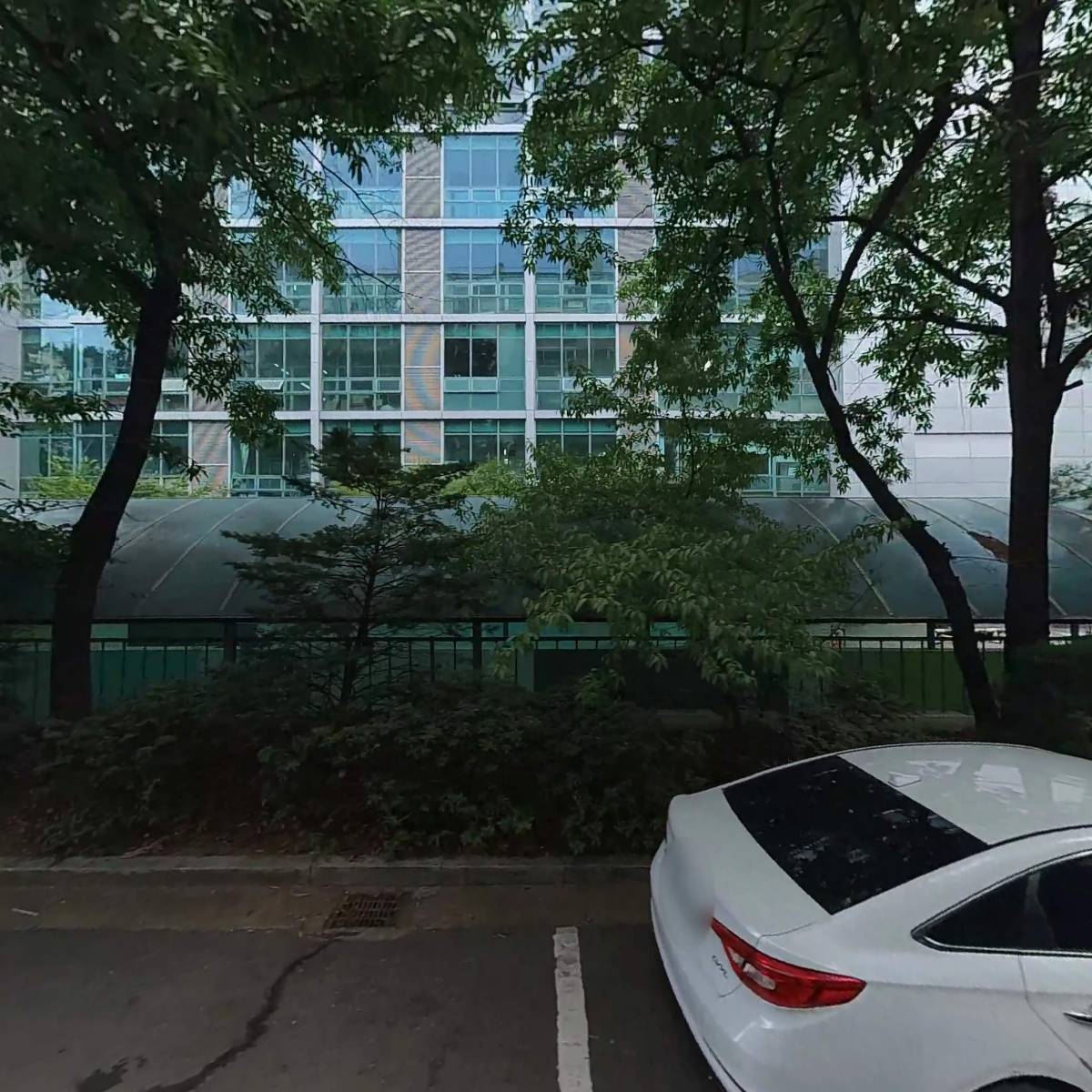 안드레 52_3