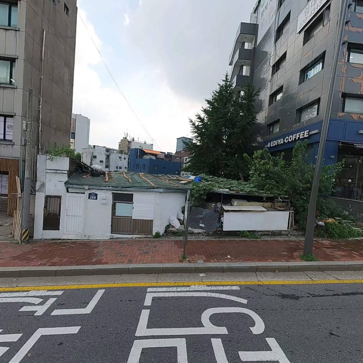 미주염색