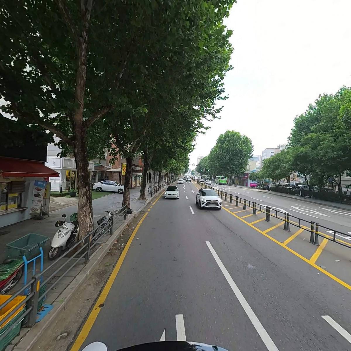 율곡 청과, 야채_2