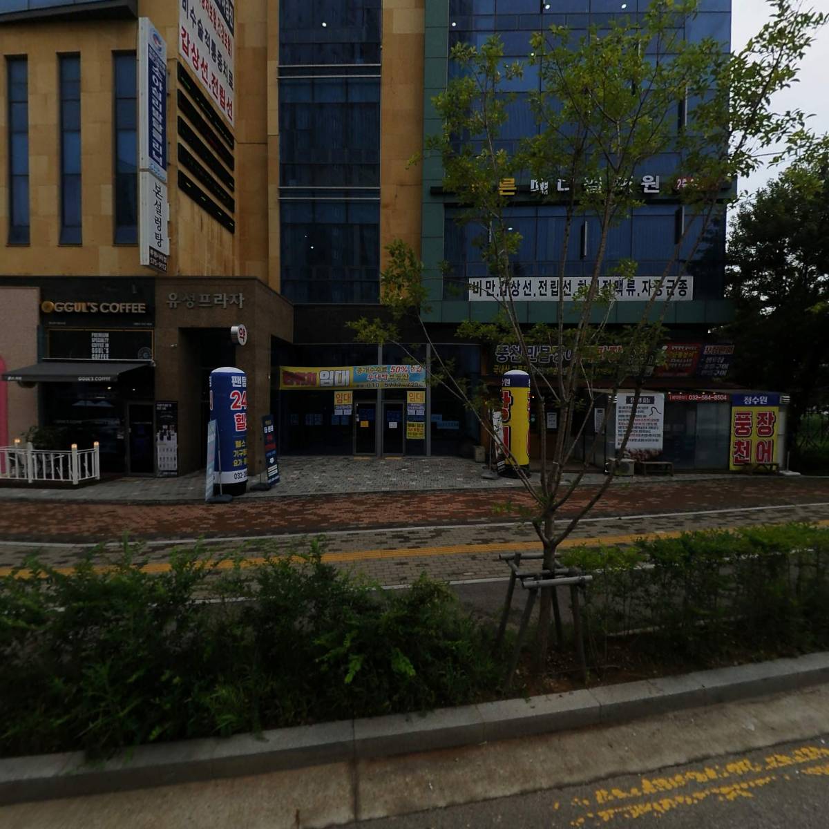 더바른메디컬의원