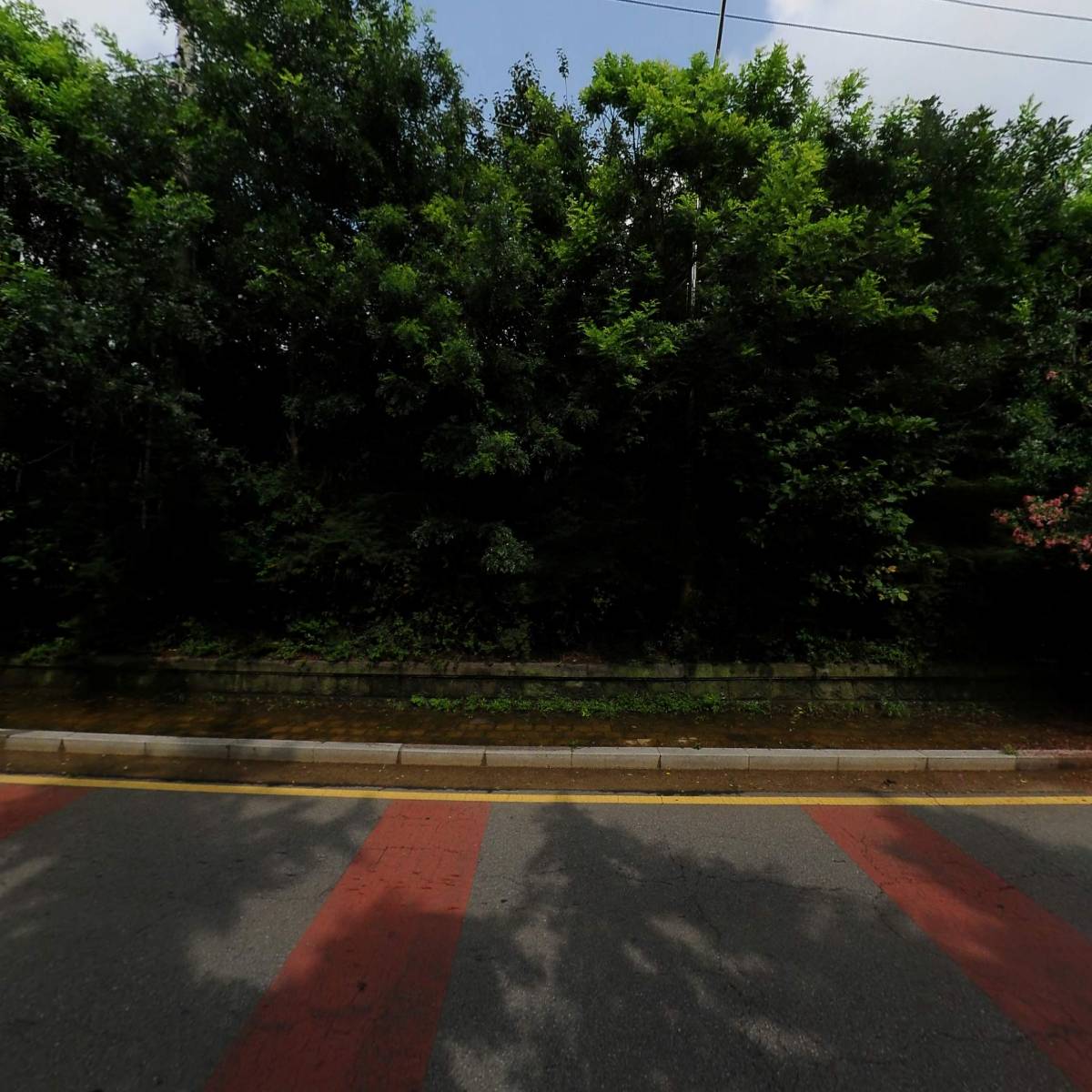 주식회사 엘리에셀_3