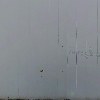 태화스프링_3