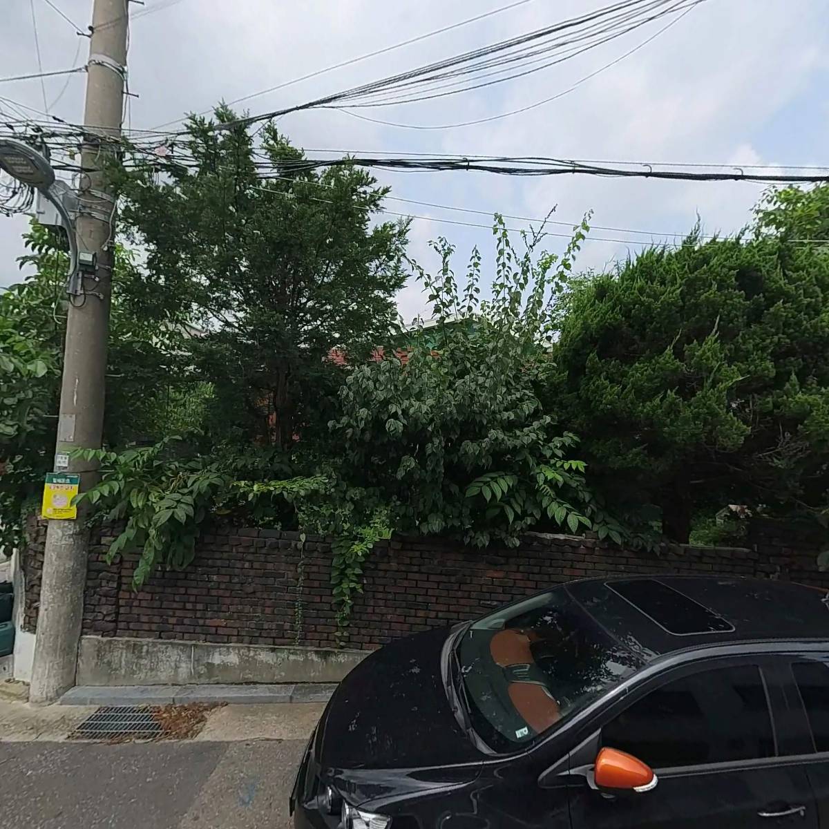 비포투올드(B420LD)