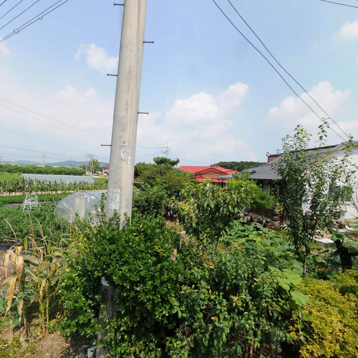 로하스버섯