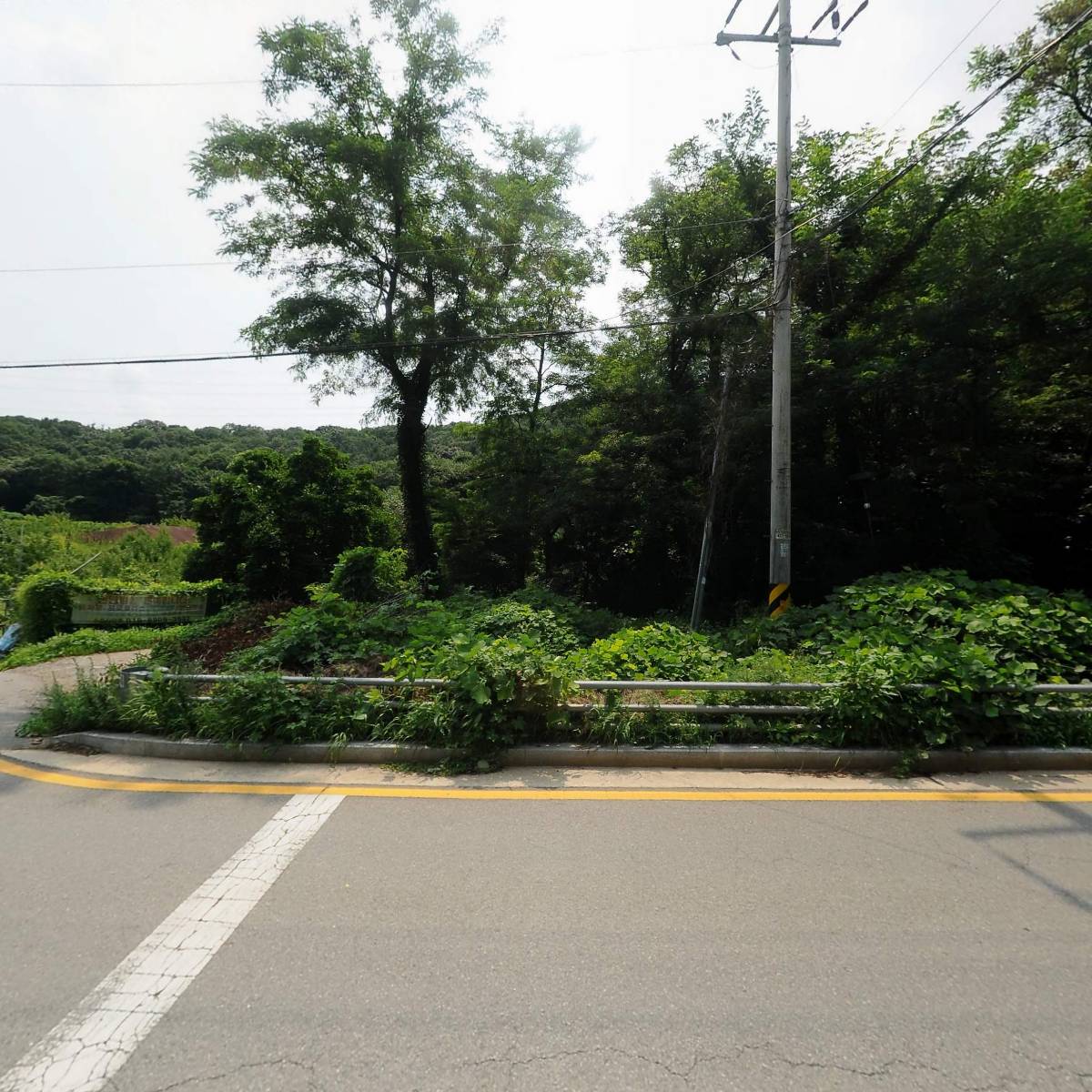 빨강물고기_3