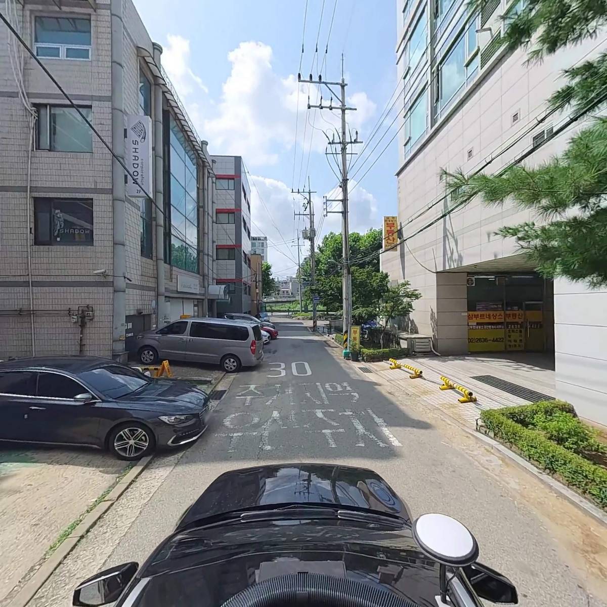 디오텍인터네셔널_4