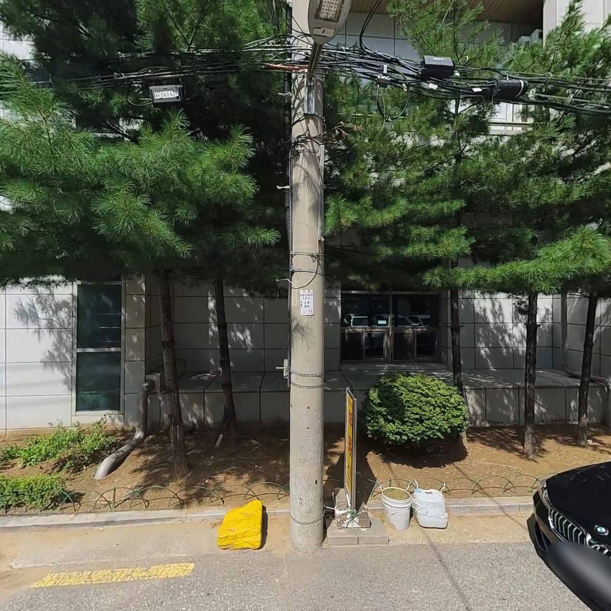 디오텍인터네셔널