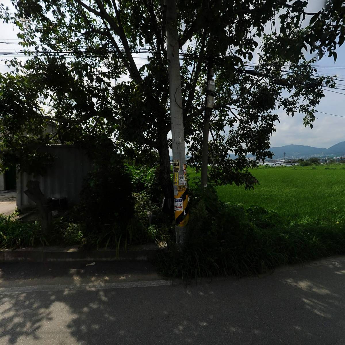 (주)대성텍스피아_3