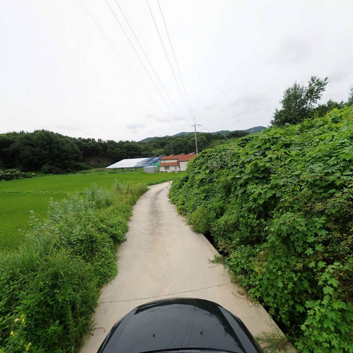 농업회사법인 (주) 웰미_4