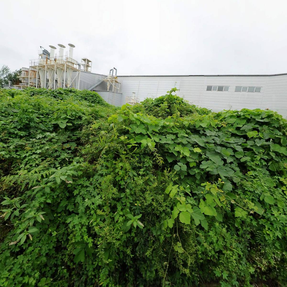 농업회사법인 (주) 웰미