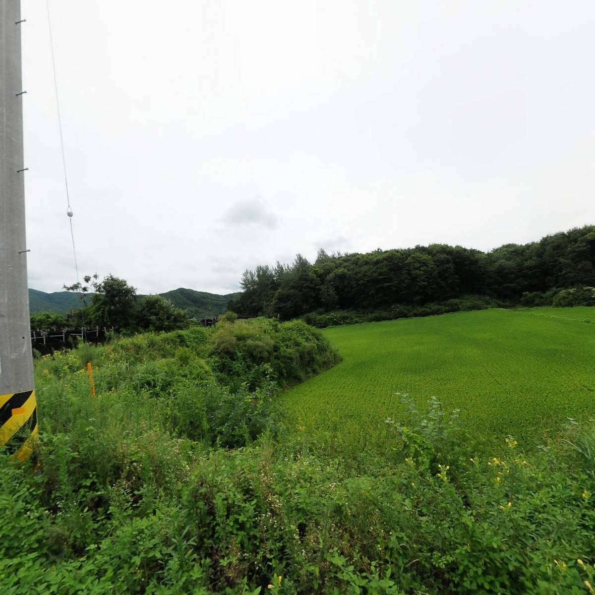 농업회사법인 (주) 웰미_3