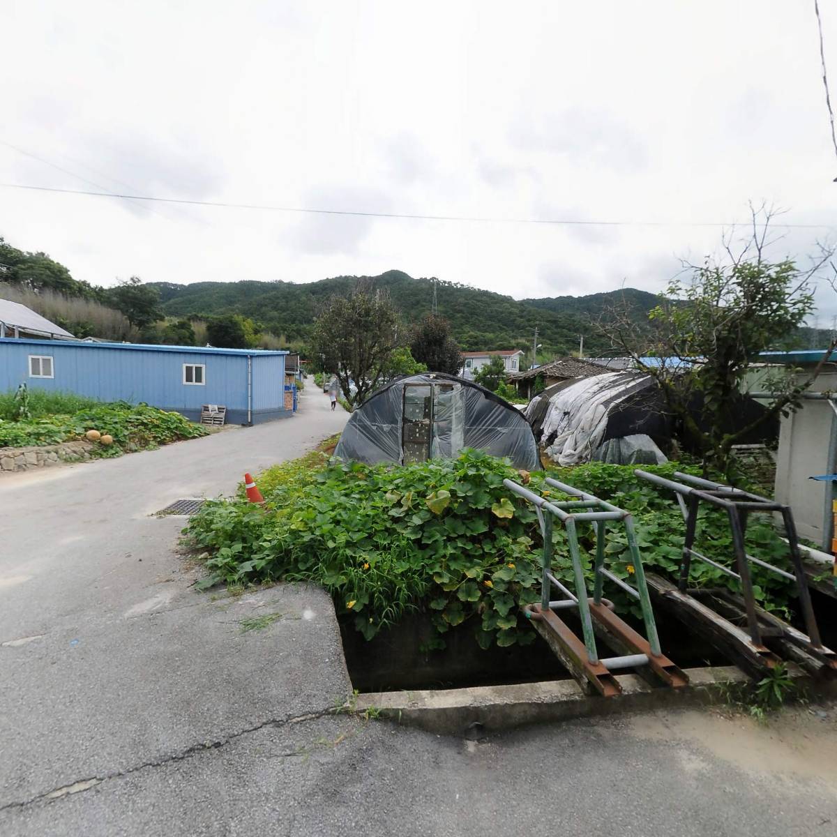 덕동정미소