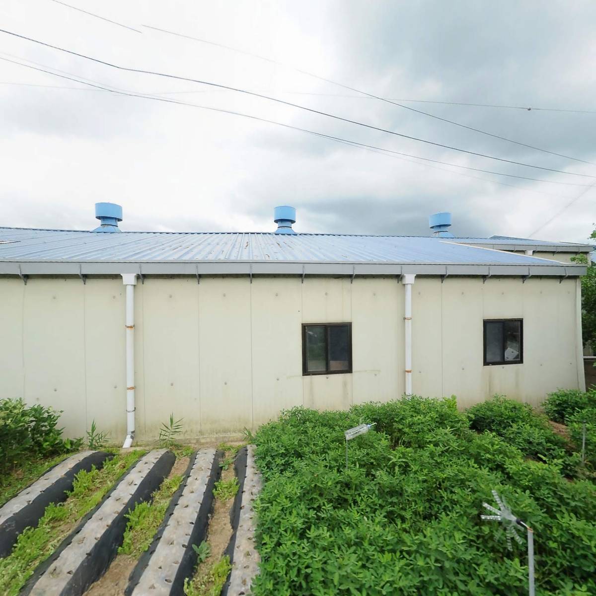 푸른환경발효식품산업_3