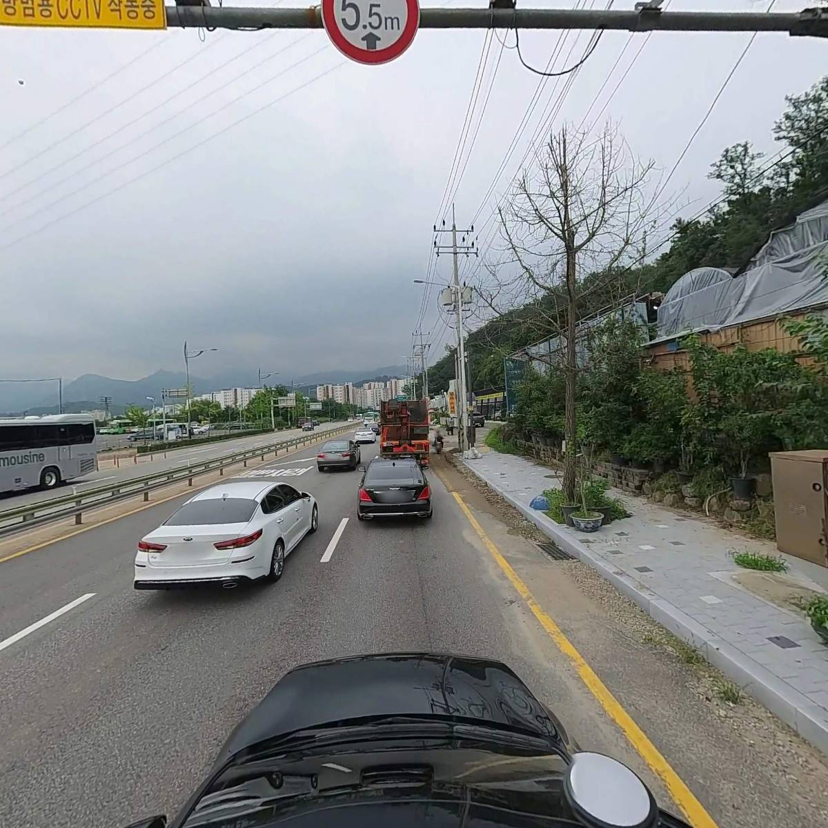 비타민 농원_4