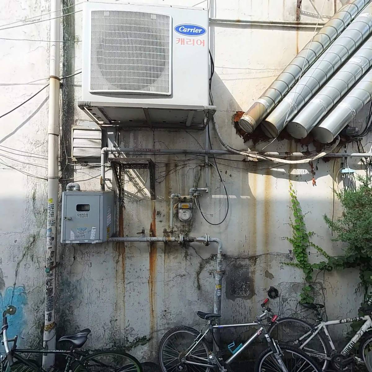 서울명품민물장어