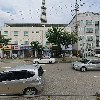비즈니스 플라워_3