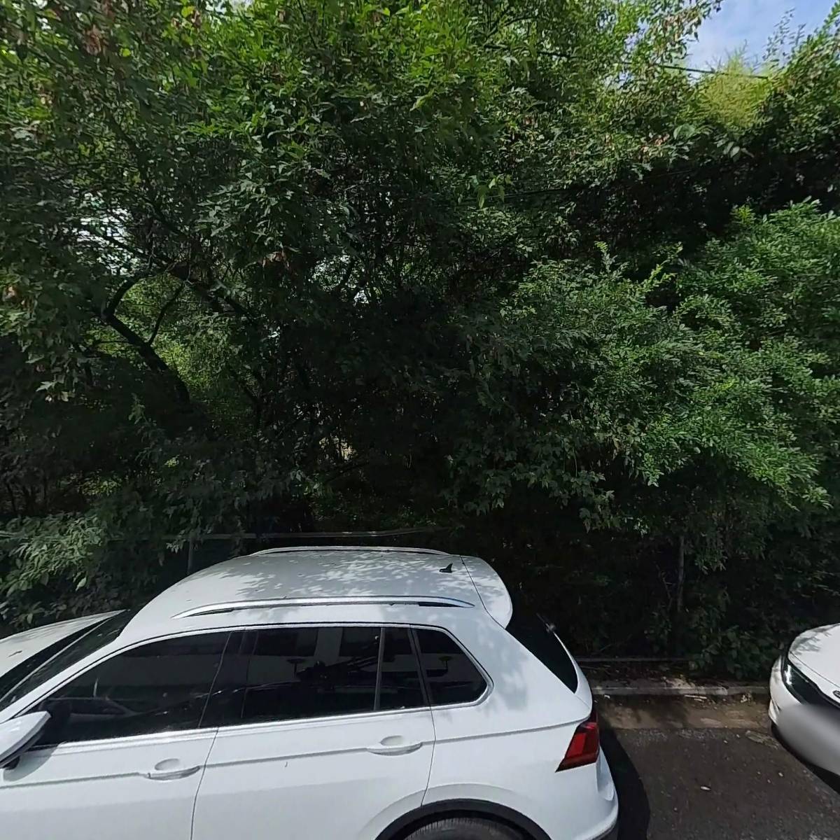 산고수장