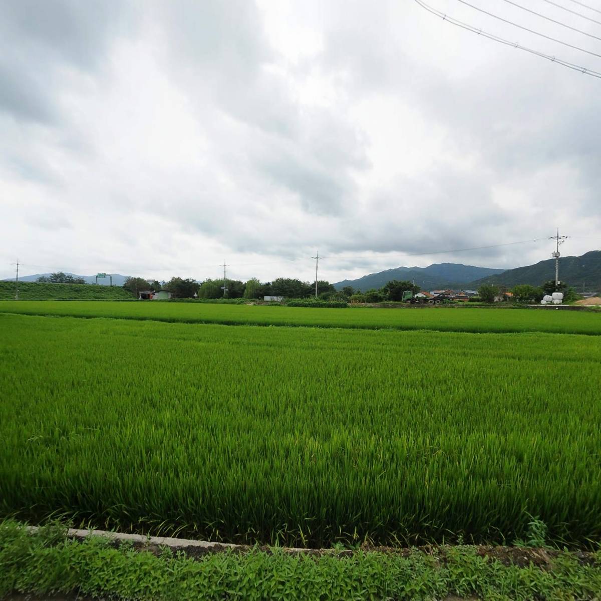 춘향골농업협동조합퇴비제조장