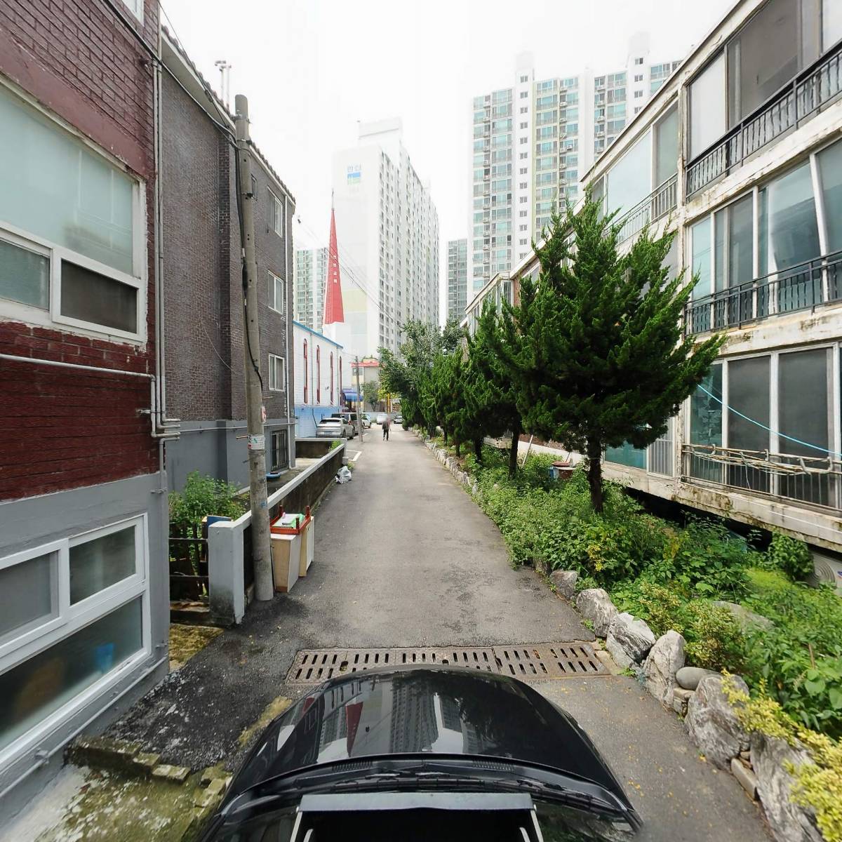 오토크래프트코리아_4