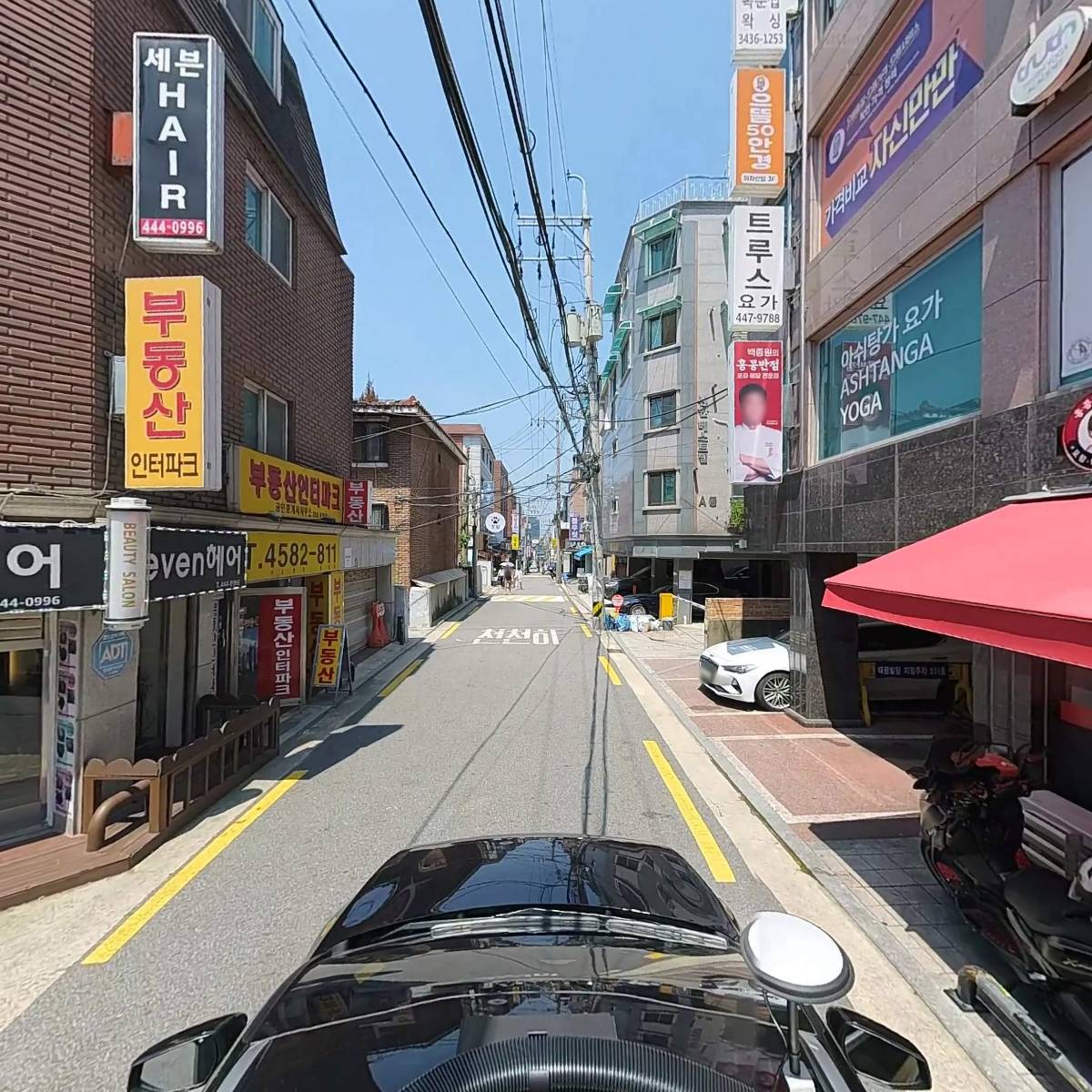 알라이아_4