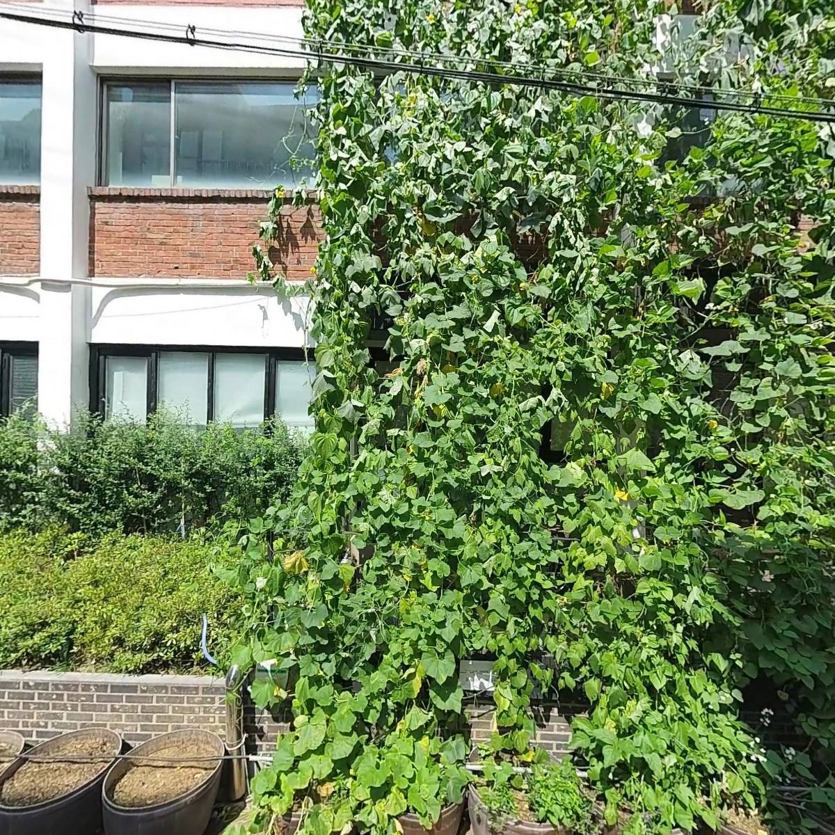광장동 주민자치위원회