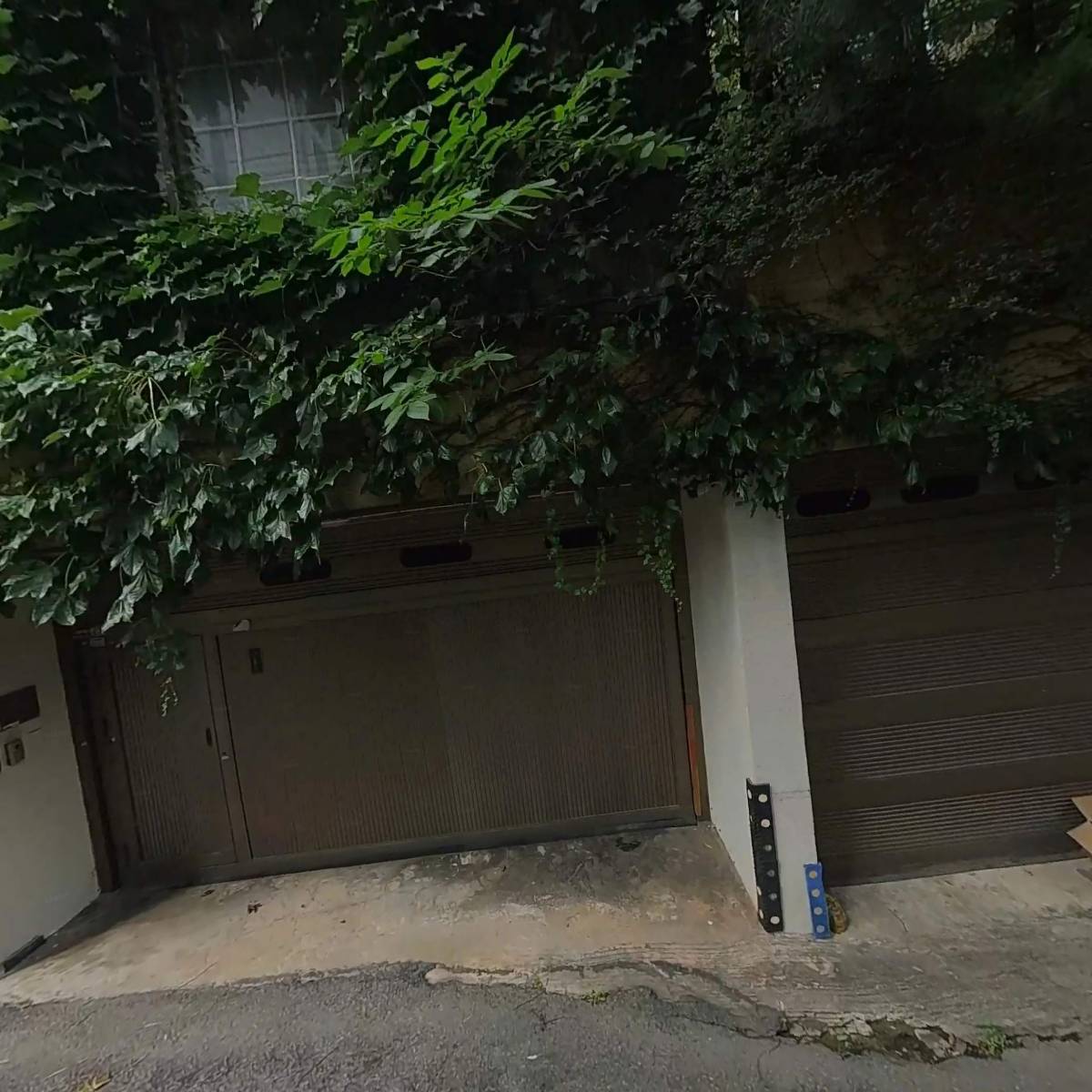 주식회사 더컬쳐브레인
