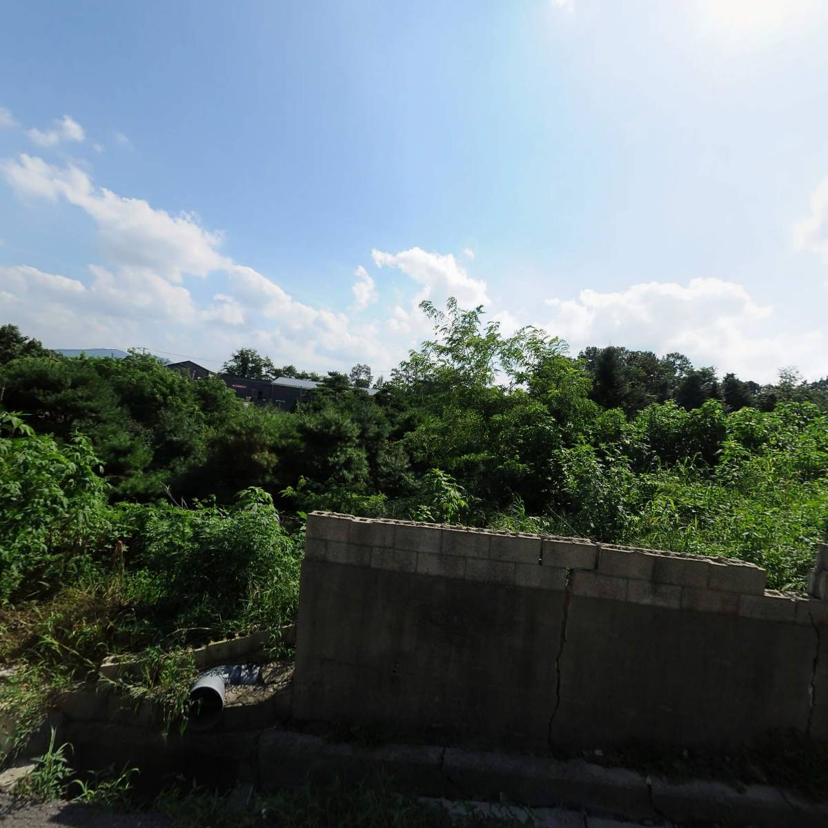 알리미_3