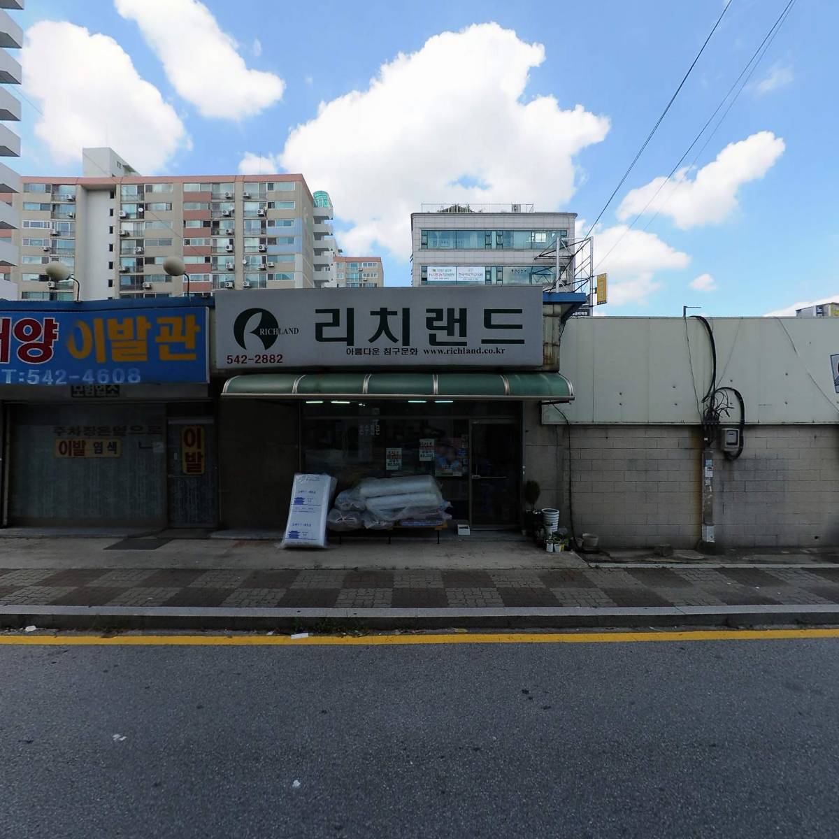 진나라_3
