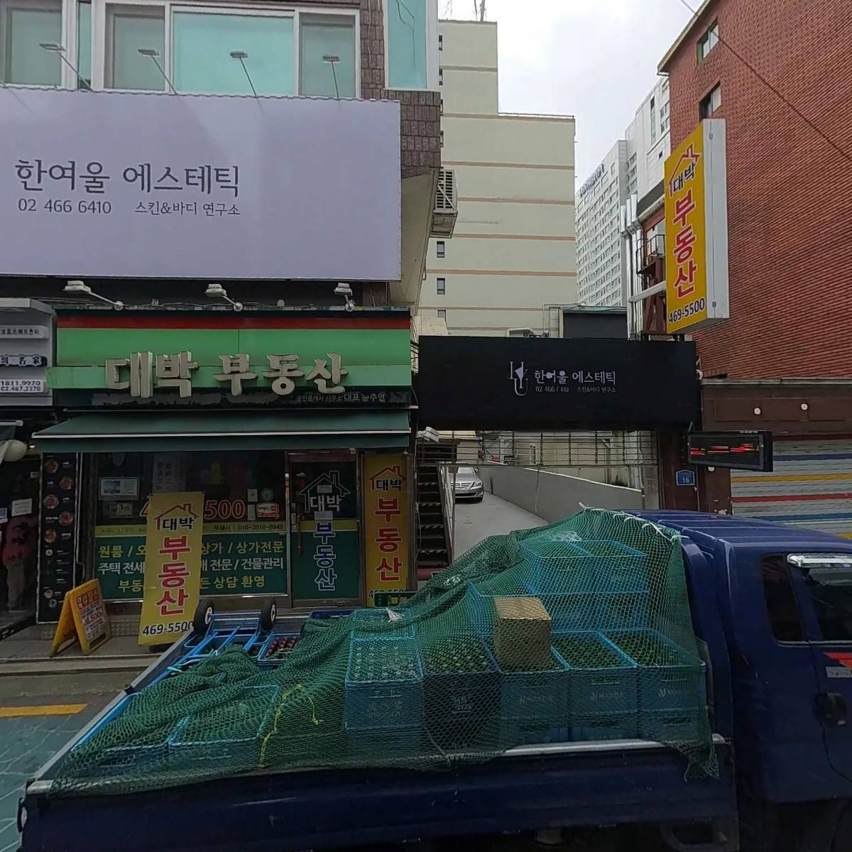 레드365_3