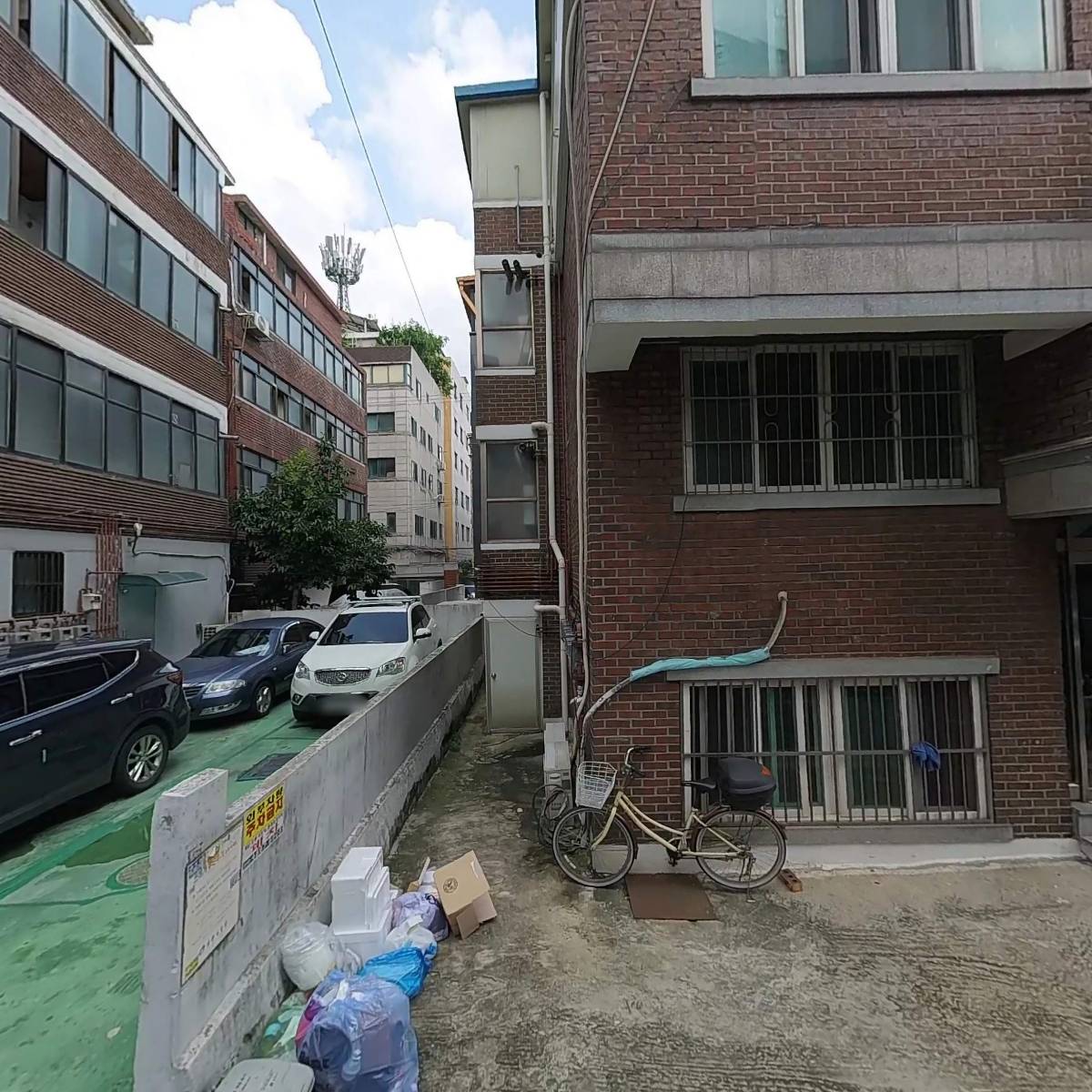 레아 조대리_3